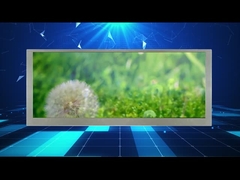 της μεγάλης οθόνης LCD επίδειξη 10,3 ίντσας 1280*480 ψηφισμάτων για το όργανο ελέγχου αυτοκινήτων