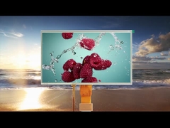 Όλες οι γωνίες θέασης 10,1 ιντσών Αντίσταση με ακουστικό LCD